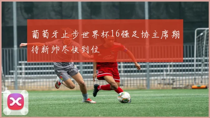 葡萄牙止步世界杯16强足协主席期待新帅尽快到位