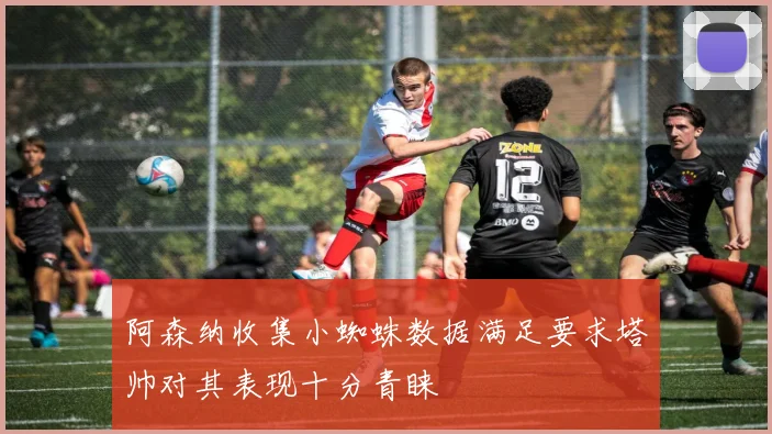 阿森纳收集小蜘蛛数据满足要求塔帅对其表现十分青睐