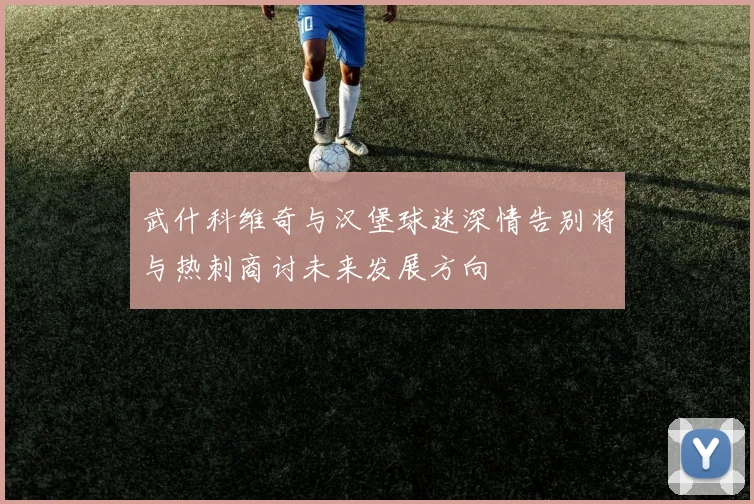 武什科维奇与汉堡球迷深情告别将与热刺商讨未来发展方向